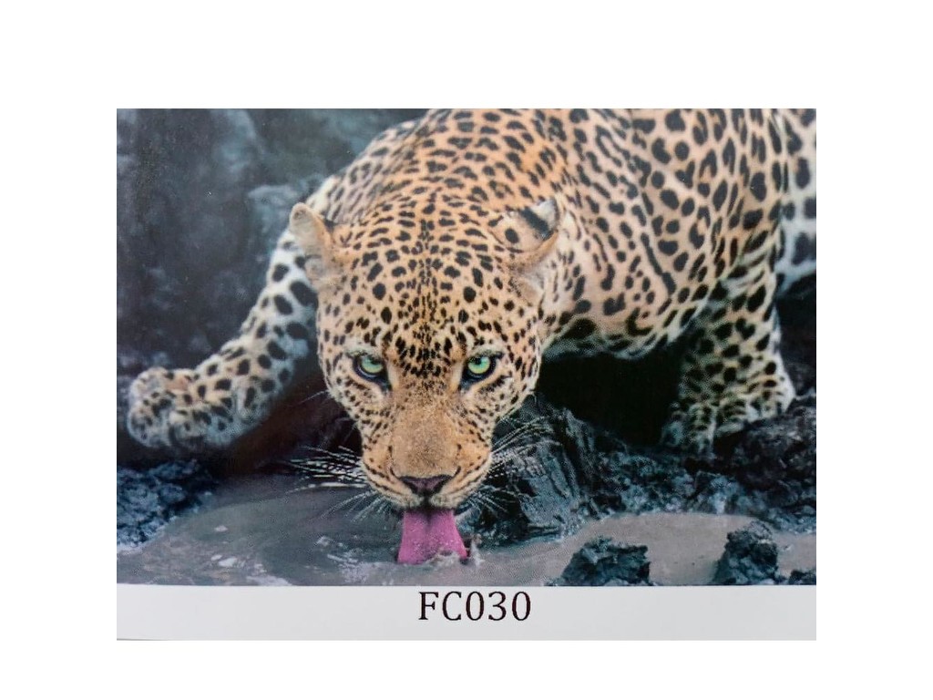 Н-р для тв-ті картина для викладання{}